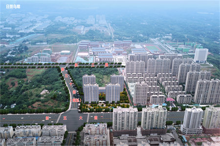城东涵翠苑A区黄金楼层6室4厅3卫证满两年复式可单独入户